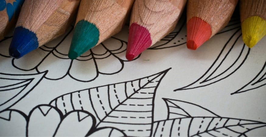 adult colors