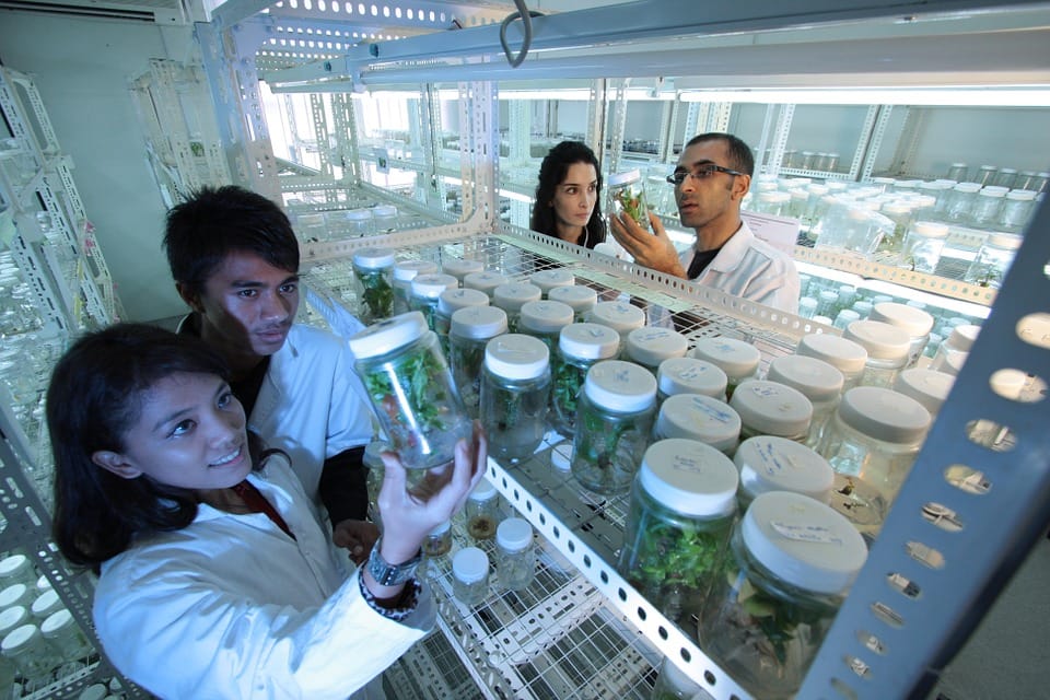 Biotech-research